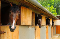 free Buckland Ripers stable construction quotes